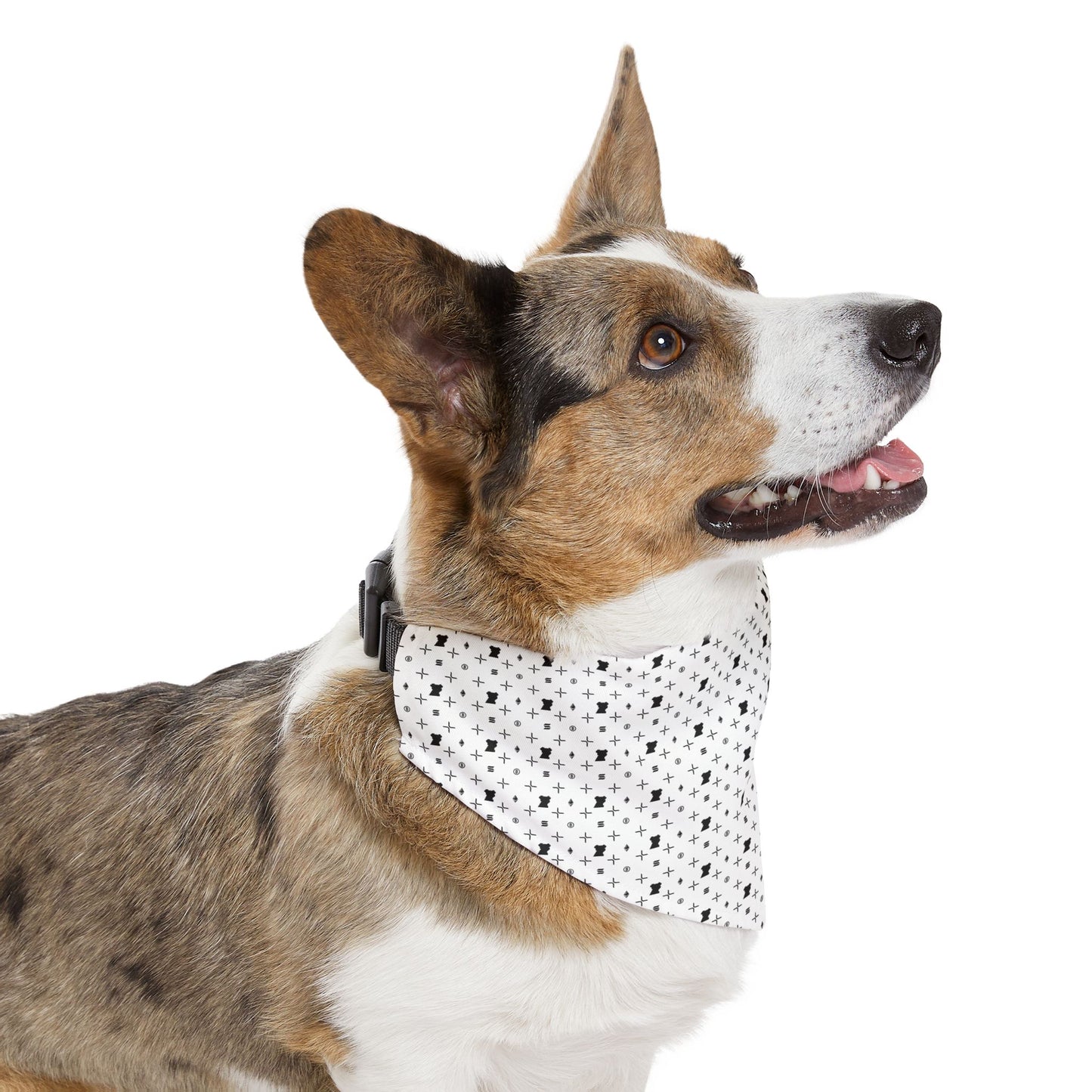 The Crypto Kennel Pet Bandana Collar