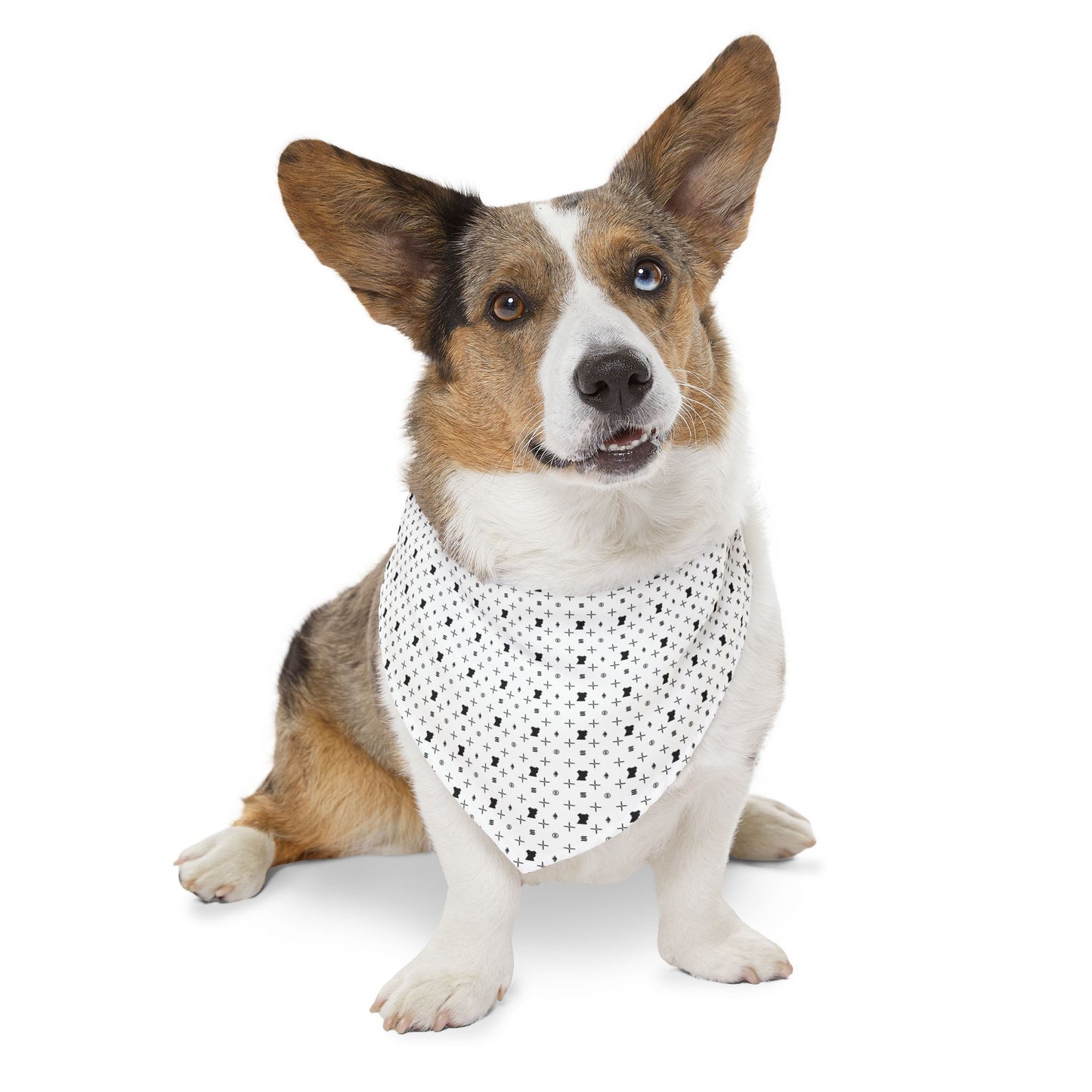 The Crypto Kennel Pet Bandana Collar