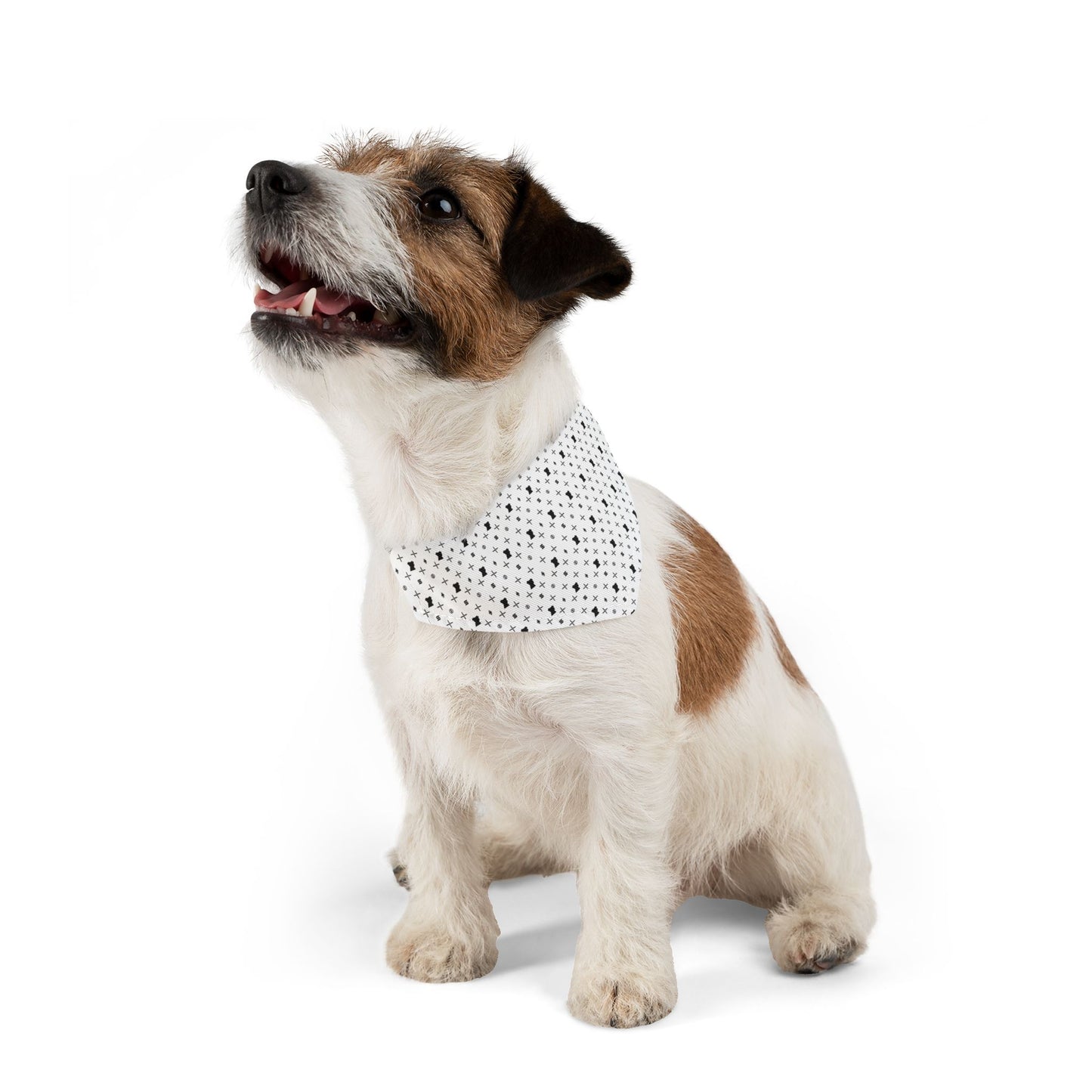 The Crypto Kennel Pet Bandana Collar